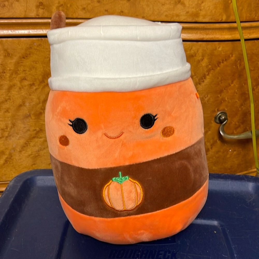 EUC PAISLYNN PUMPKIN SPICE LATTE HARVEST THANKSGIVING 2021